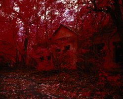 The Red Forest - From the Invisible series.