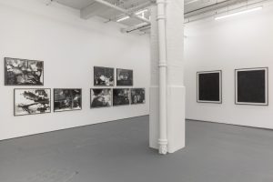 Installation image of Double Take