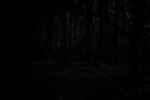 Lost-In-The-Forest-At-Night-4-SH.jpg