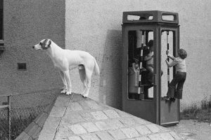 075933-Dog-and-derelict-phone-box-Wester-Hailes-Edinburgh-1979-by-John-Walmsleyc38ada1512.jpg